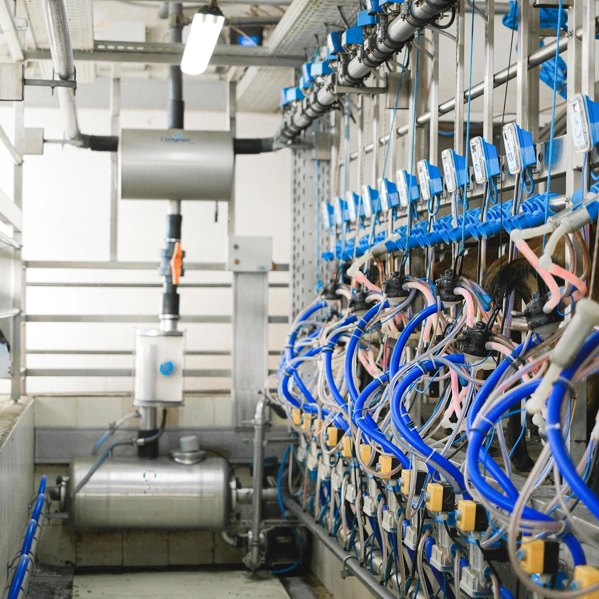 Servicios de instalaciones eléctricas en Cunit RYCT